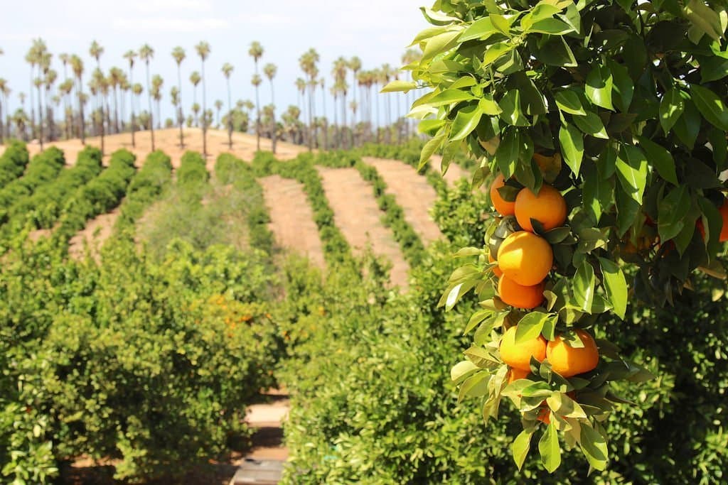 100+ Water Ag Organizations Urge Congress to Address Western Water Challenges