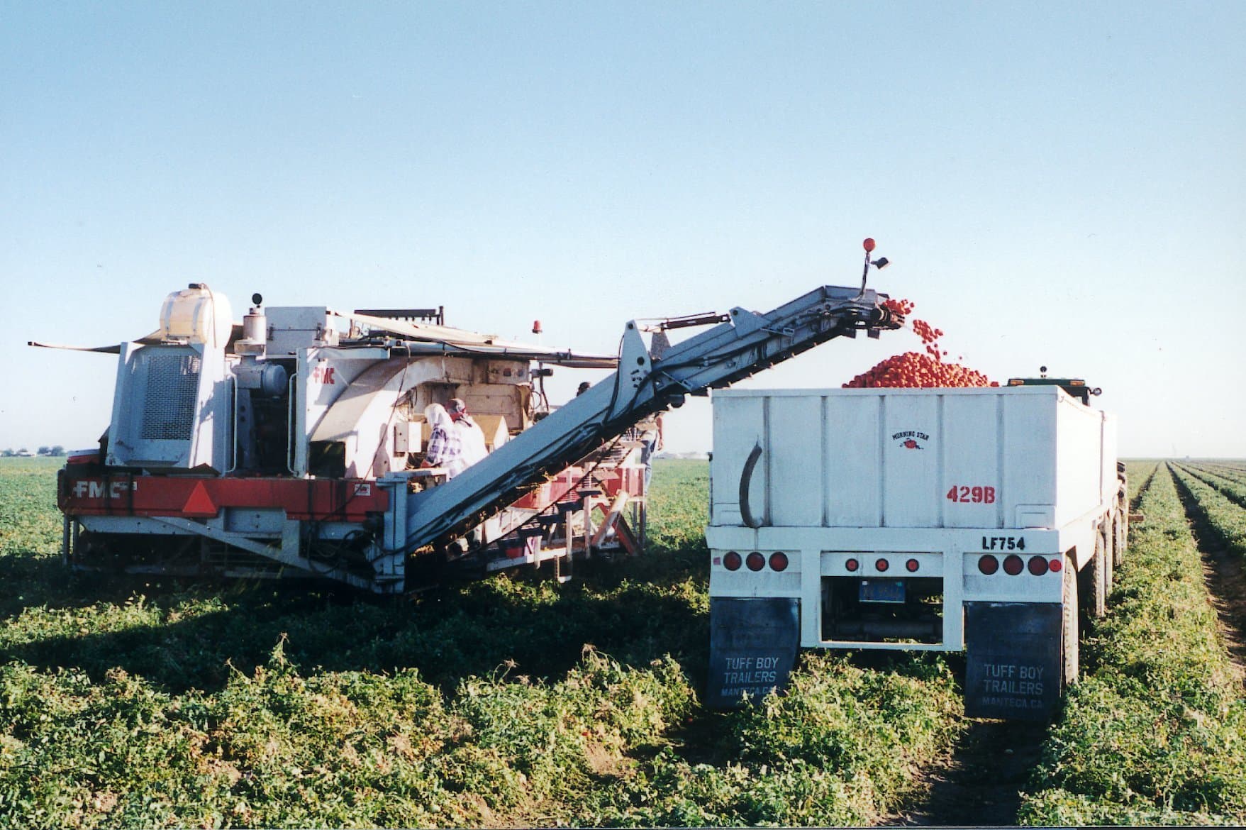 CA Tomato Processors Expect 12 Million Tons in 2020