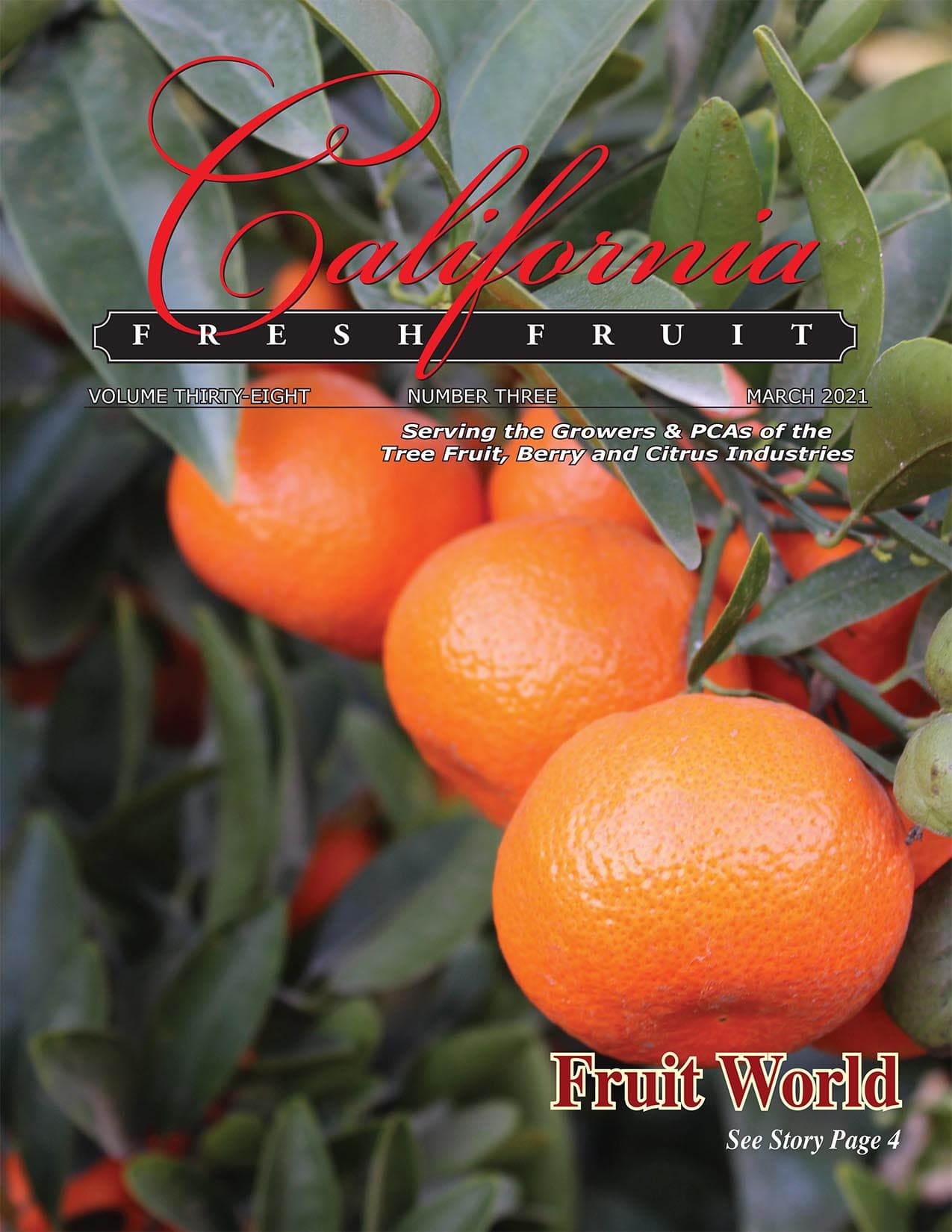READ – March 2021 Issue