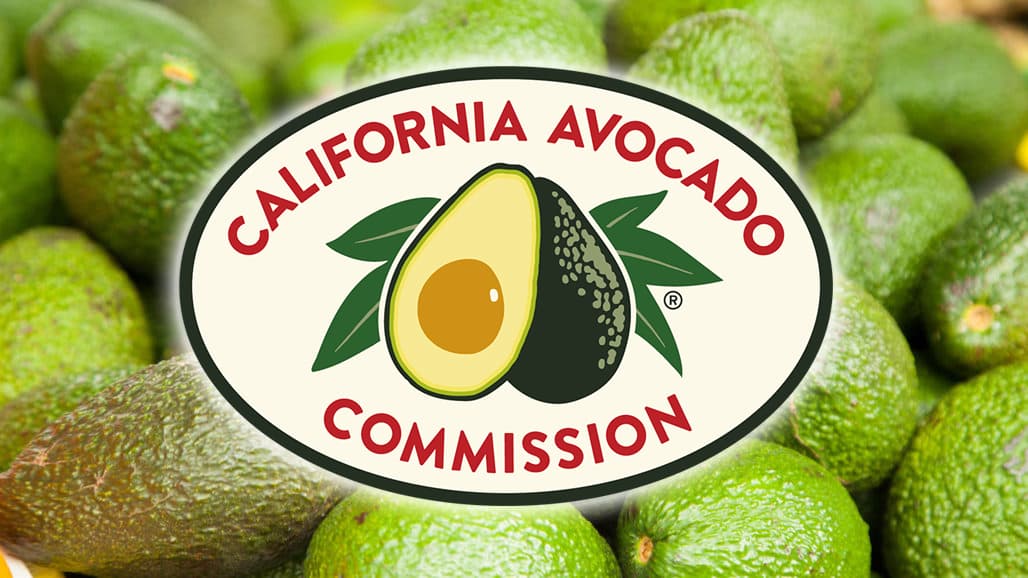 California Avocado Commission Anticipates 286 Million Pound Crop