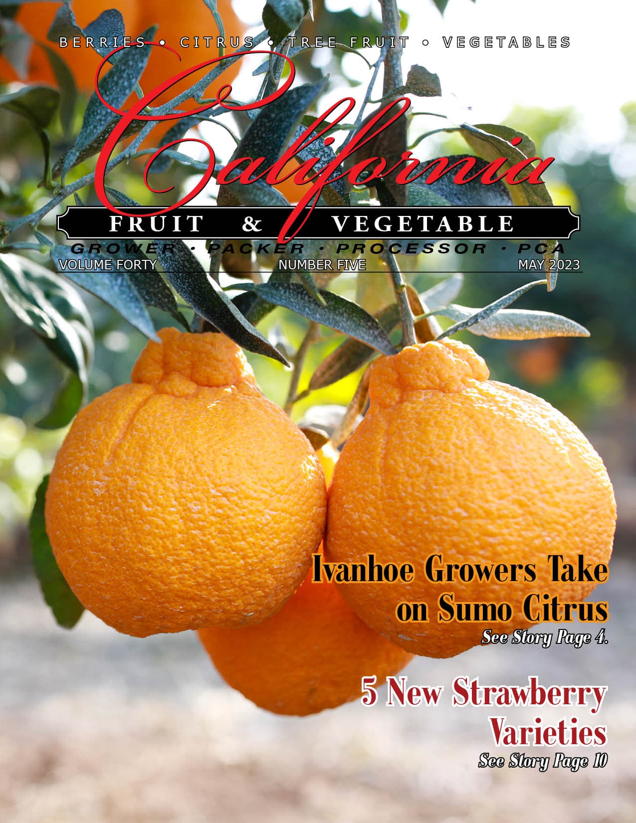 READ – May 2023 Issue