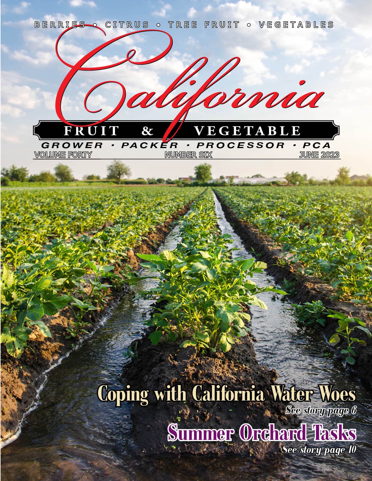 READ – June 2023 Issue