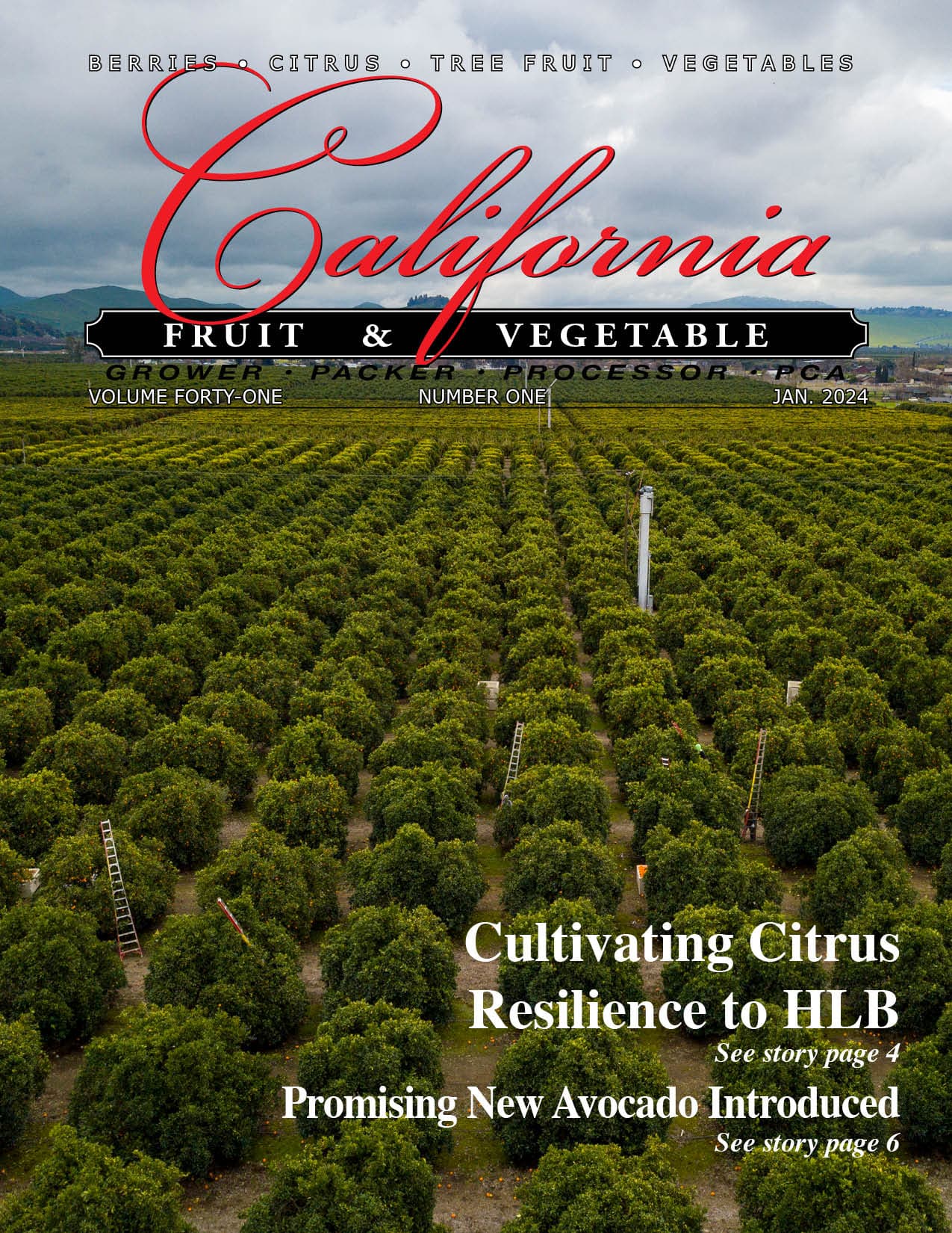 READ – January 2024 Issue