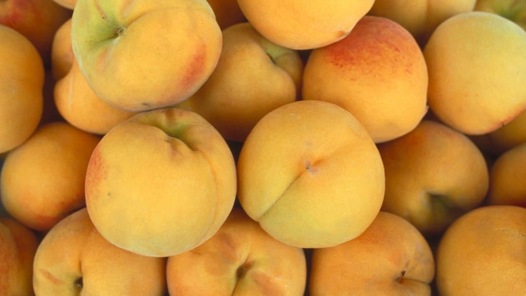 Australia a Key Market for US Fresh Fruit