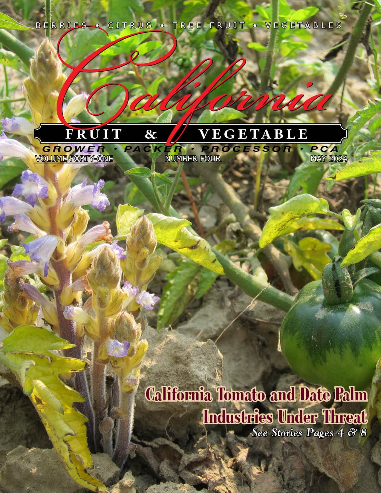 READ – May 2024 Issue