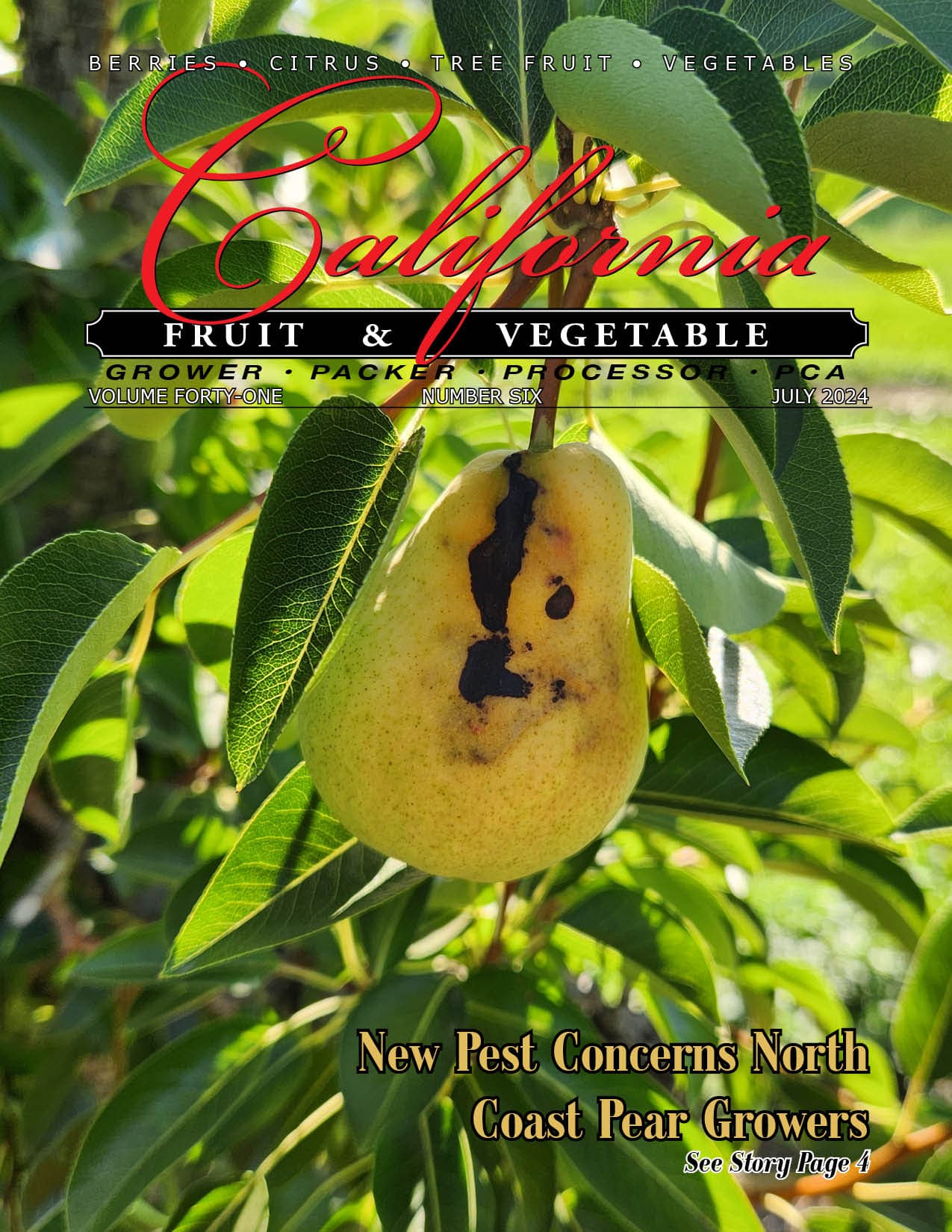 READ – July 2024 Issue