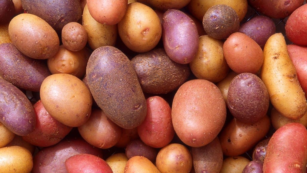 Study Reveals Consumer Path to Purchasing Potatoes