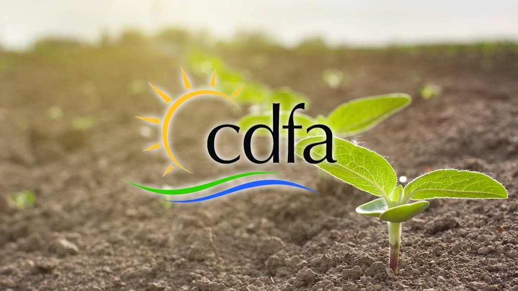 Four Vacancies on the Citrus Pest and Disease Prevention Committee