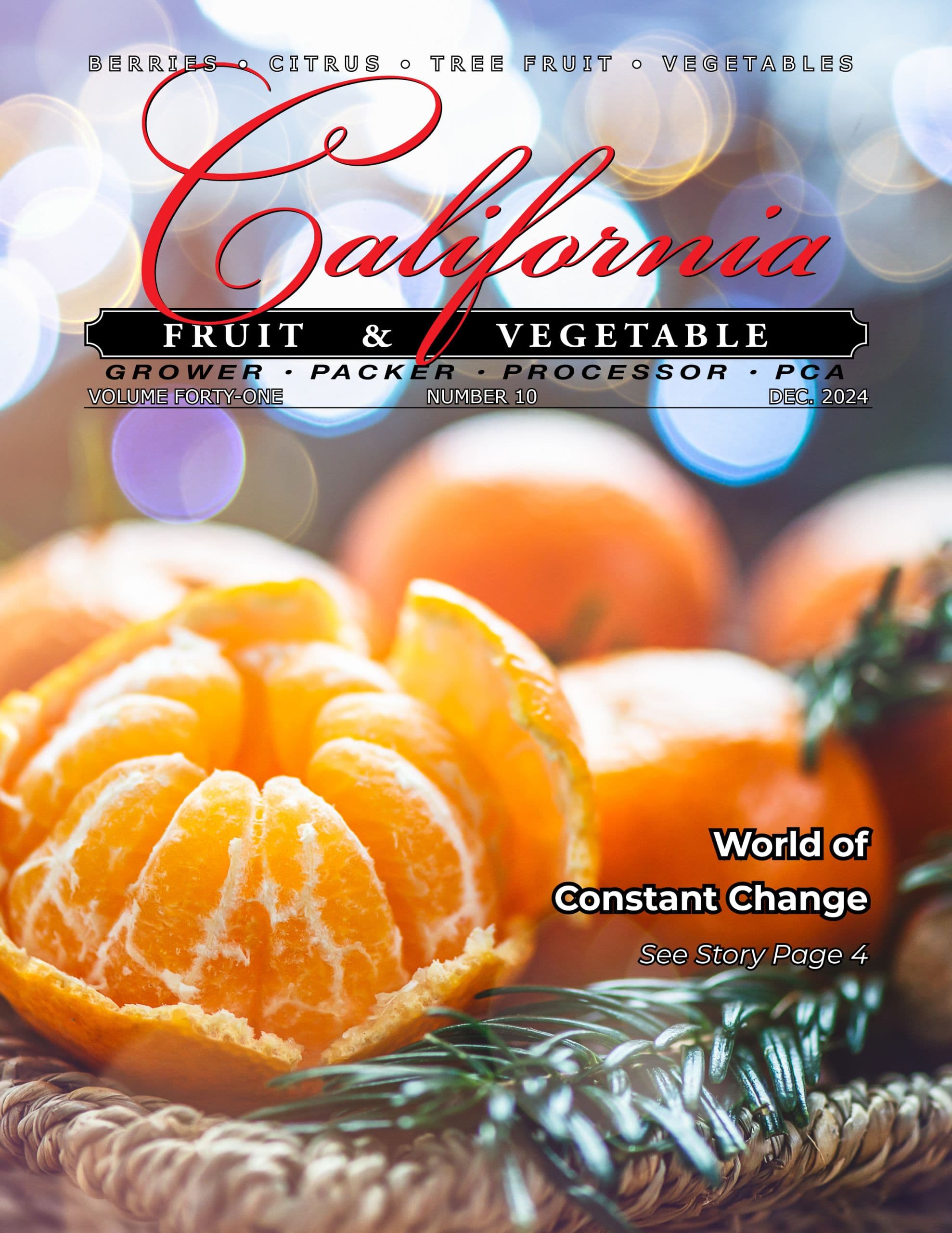READ - December 2024 Issue