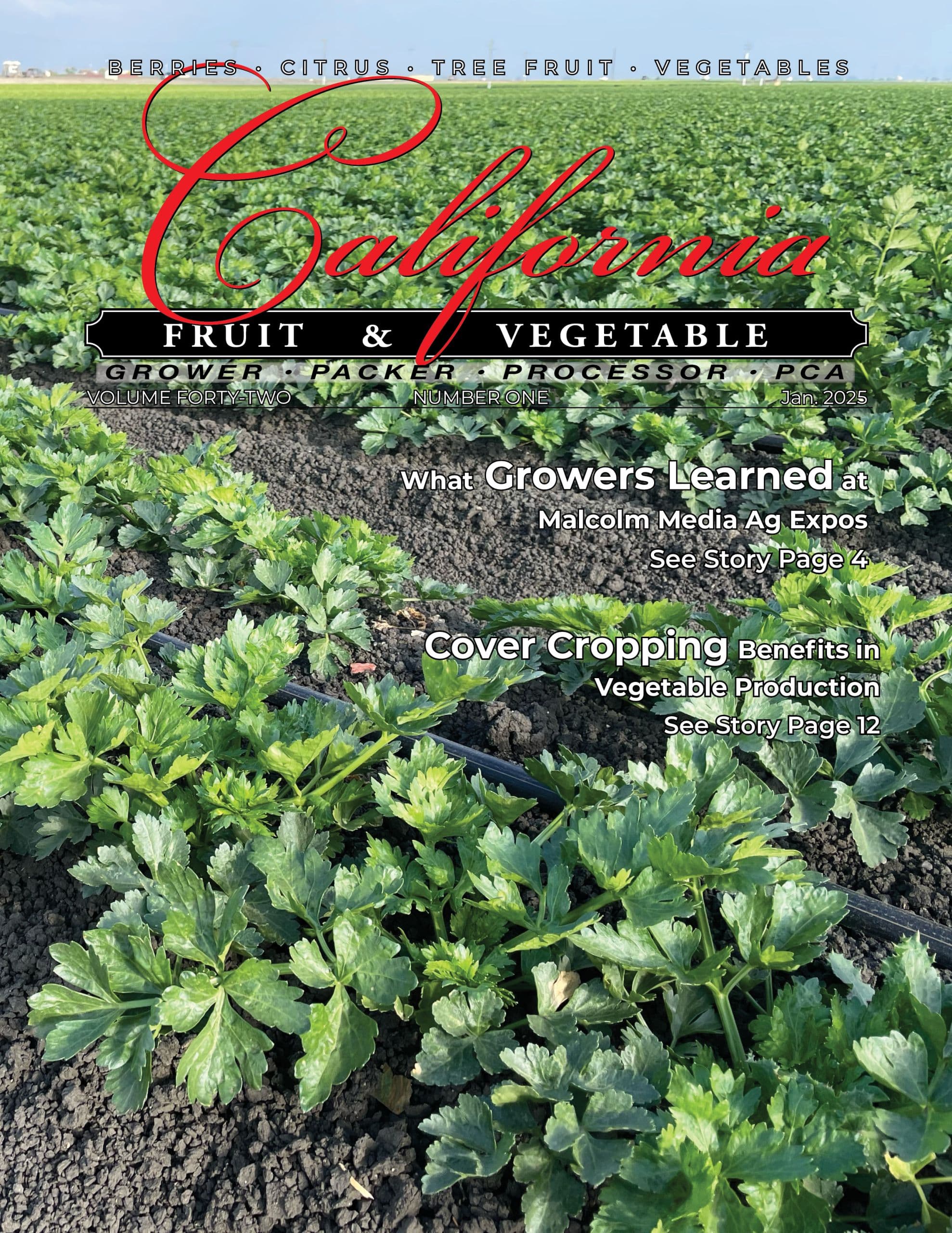 READ - January 2025 Issue
