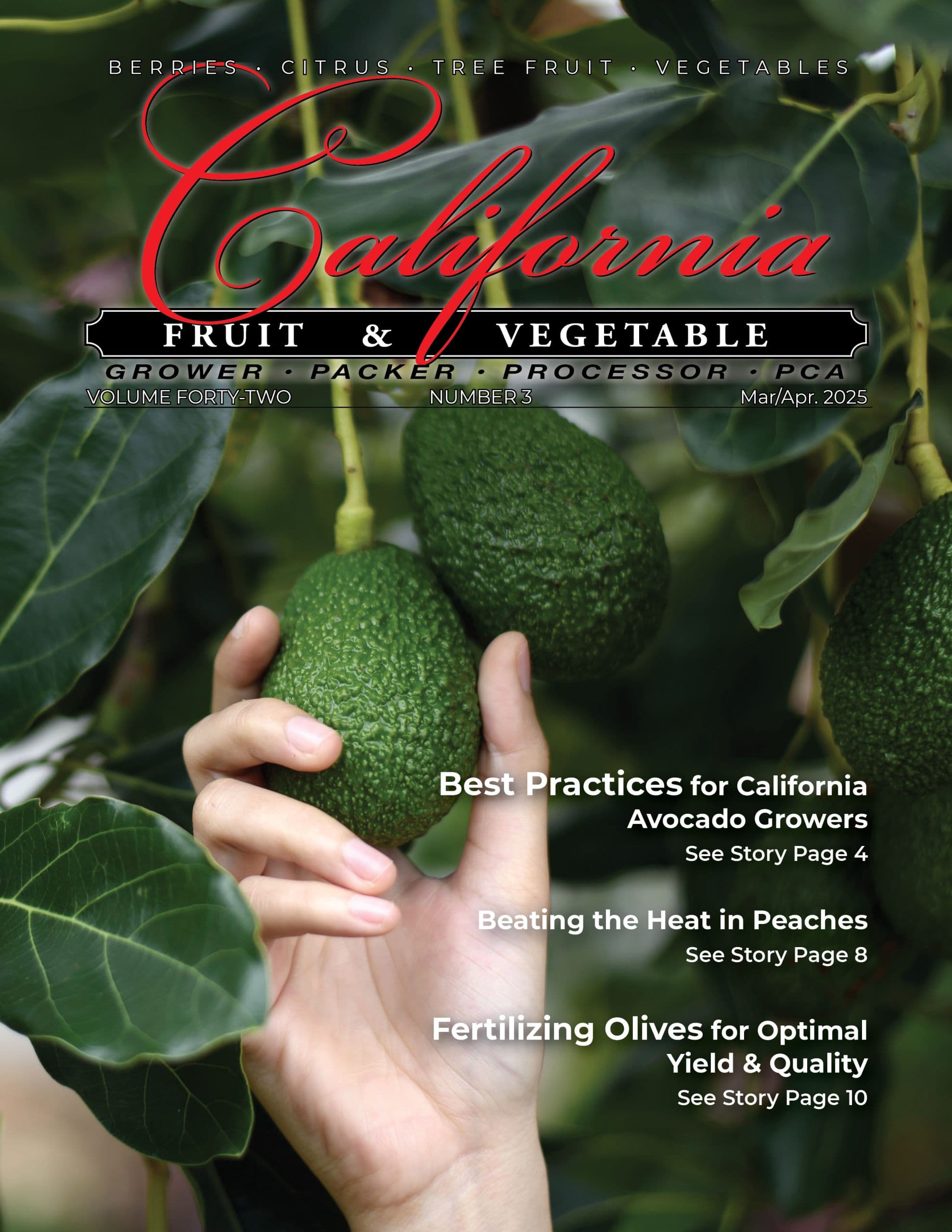 READ – March/April 2025 Issue