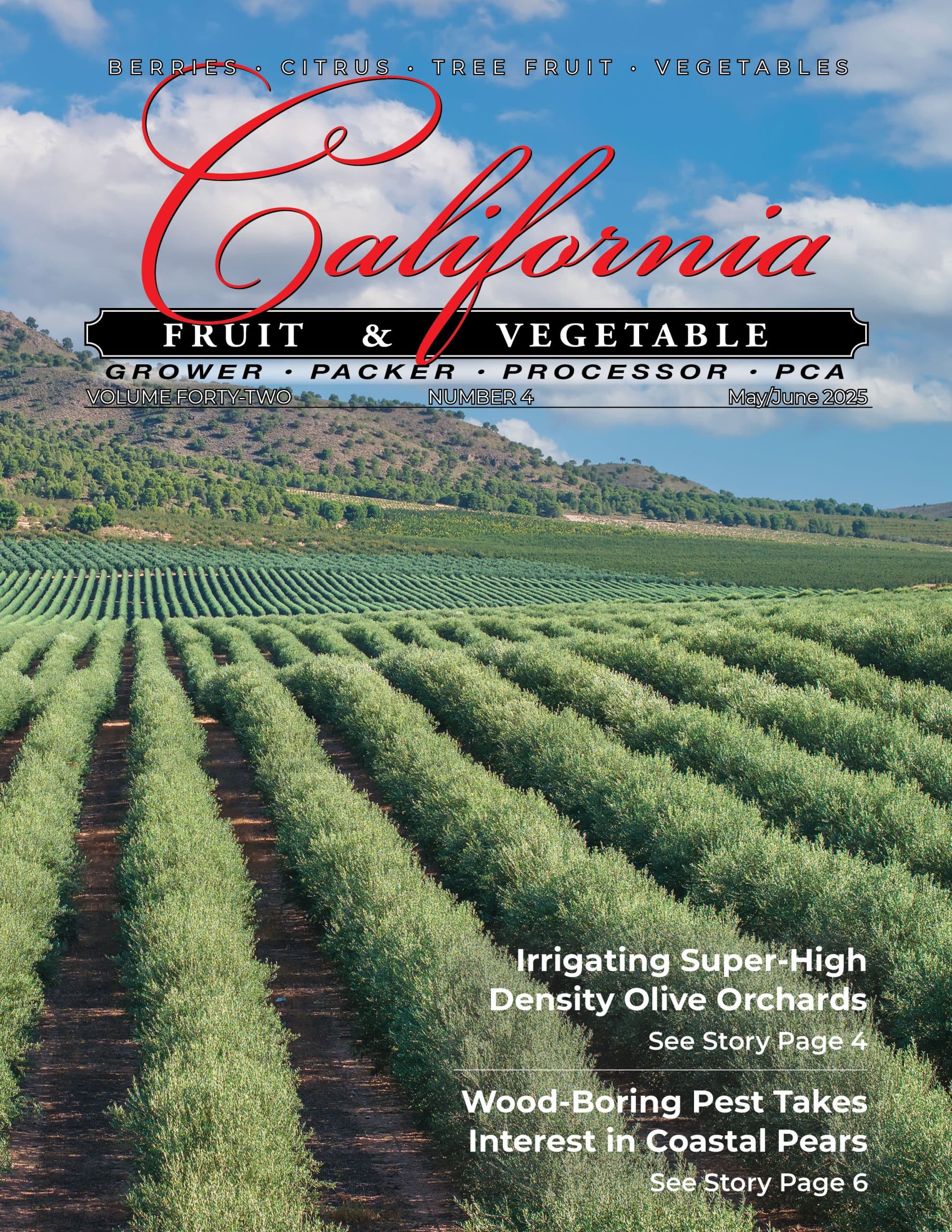 READ – May/June 2025 Issue