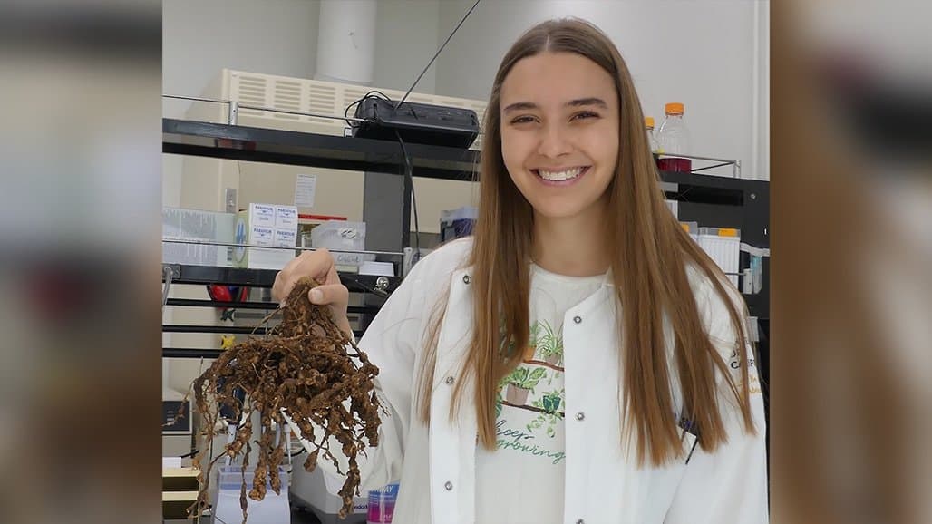 UC Davis Doctoral Candidate Wins International Award for Root-Knot Nematode Work in Tomato