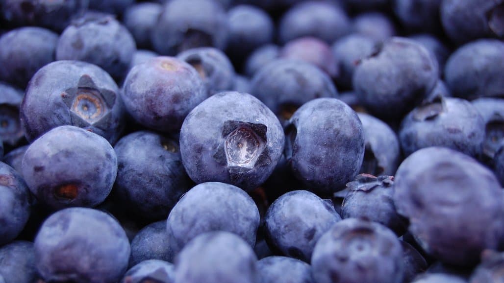South Africa Market Now Open for U.S. Fresh Blueberries