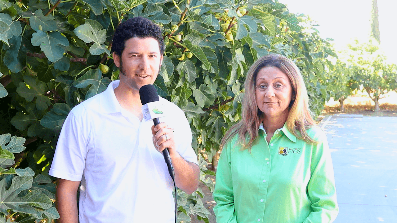 Global Demand Rises for California Figs, Met with Ideal Growing Conditions