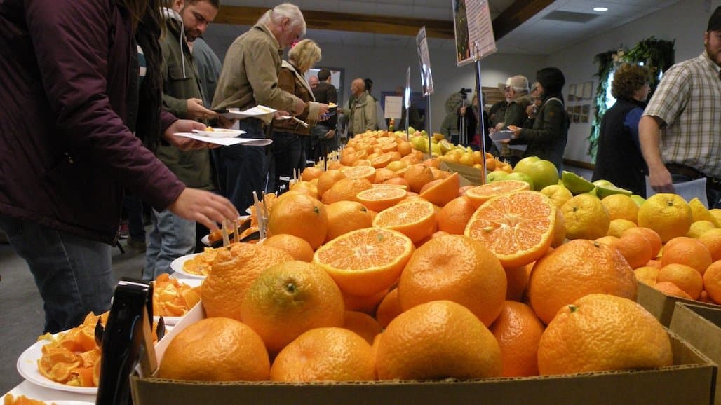 Lindcove Research & Extension Center Citrus Fruit Display & Tasting