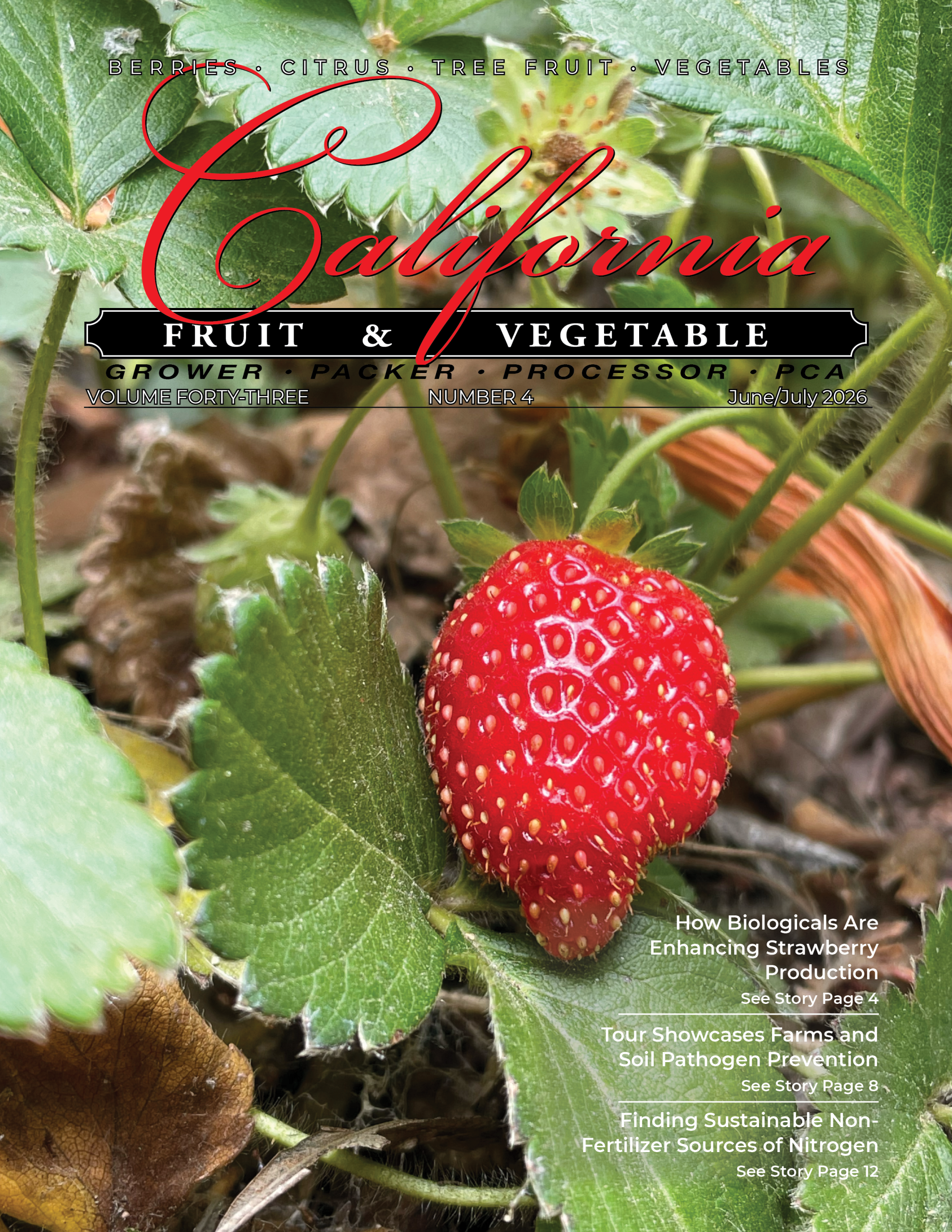 READ – June/July 2026 Issue
