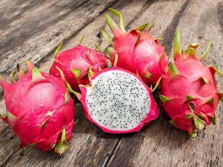 Dragon Fruit Production and Farm Tour Coming to Southern California